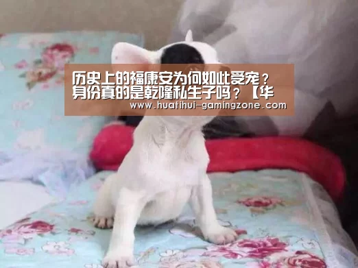 历史上的福康安为何如此受宠?身份真的是乾隆私生子吗?【华体会官方入口】(图4) 华体会官方入口